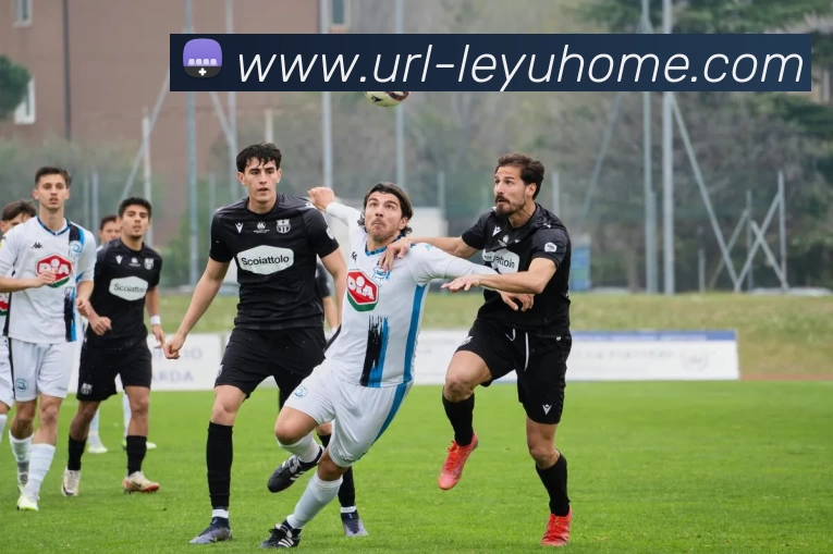 乐鱼体育品牌故事